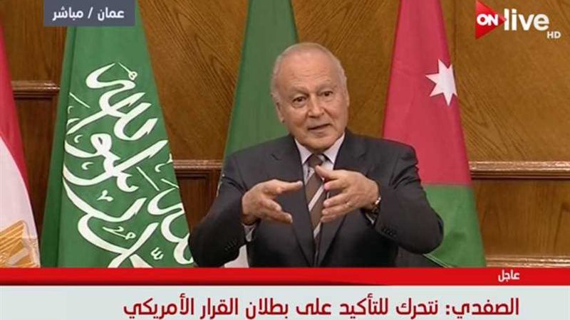 أبو الغيط: يجب التمسك