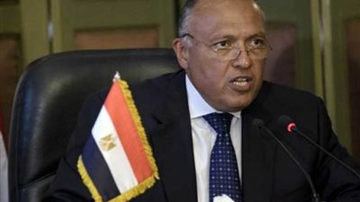 غدا .. مباحثات بين وزير الخارجية ونائب رئيس الوزراء وزير خارجية إيرلندا