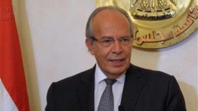 وزير التنمية المحلية: الحكومة تعمل بجدية في ملف تنمية سيناء