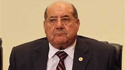 رئيس المحكمة الدستورية: مجلس الدولة صرح للحقوق والحريات