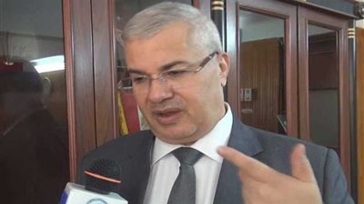 نائب رئيس المحكمة الدستورية: القضاء الضمانة الأساسية لانتخابات حرة ونزيهة