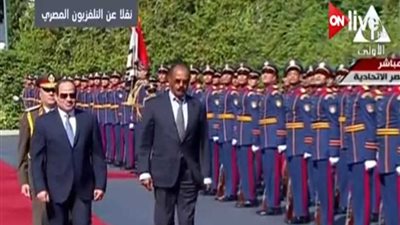 السيسي ونظيره الإريتري يستعرضان حرس الشرف بقصر الاتحادية (فيديو)