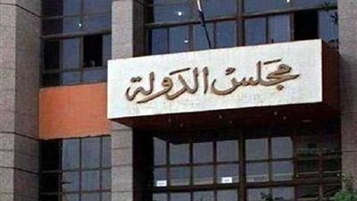 نائب رئيس مجلس الدولة: أعطينا الحق للمصريين بالخارج بالمشاركة في الانتخابات