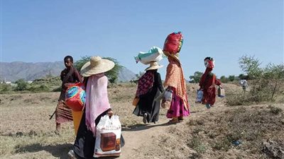 منظمة حقوقية بجنيف: الحوثيون يهجرون 350 أسرة من قرية واحدة في 