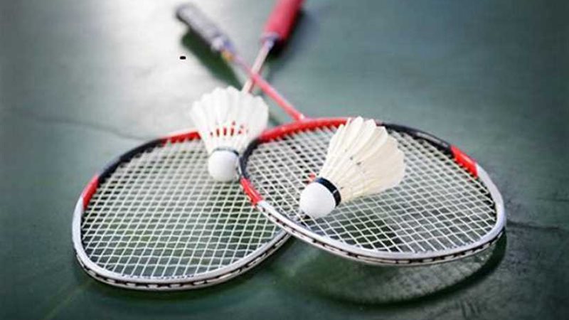 اتحاد الريشة الطائرة