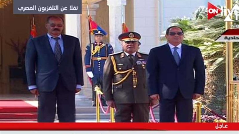 السيسي يستقبل نظيره