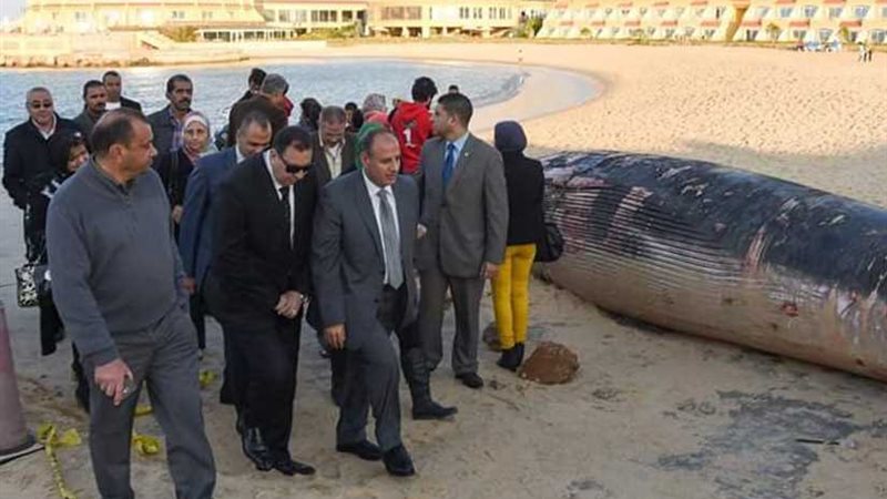 القوات البحرية تستعد