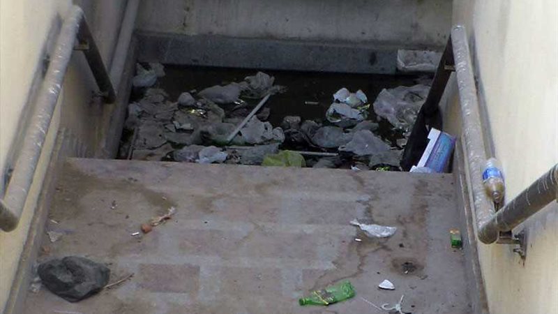 صقر وكامل الوزير