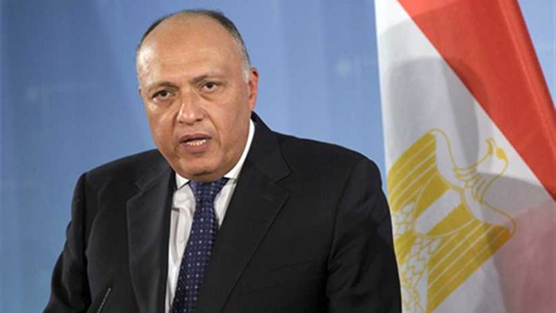 غدا.. شكرى ونظيره