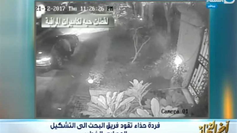 معتز الدمرداش يعرض