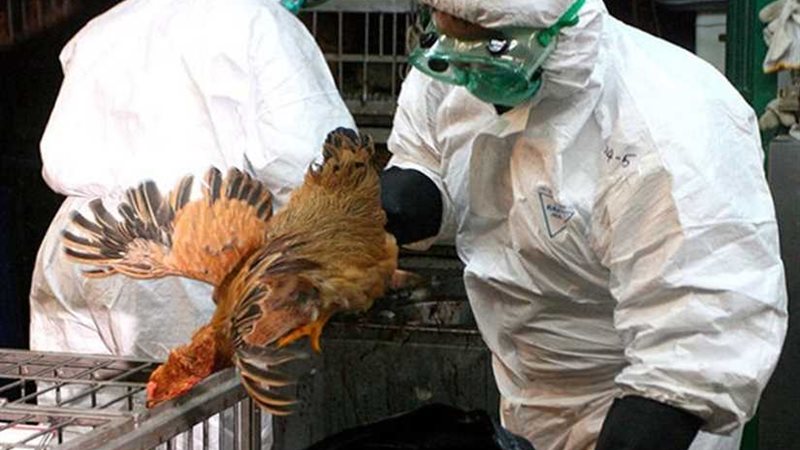 صحة دمياط تنفي اكتشاف