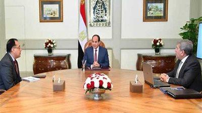 السيسي: النتائج المالية والاقتصادية الإيجابية يجب أن تنعكس على معيشة المواطن