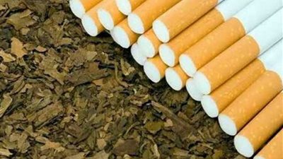 غدًا.. جمعية التدخين والدرن تعقد مؤتمرًا صحفيًا مهمًا عن تجارة التبغ غير المشروعة
