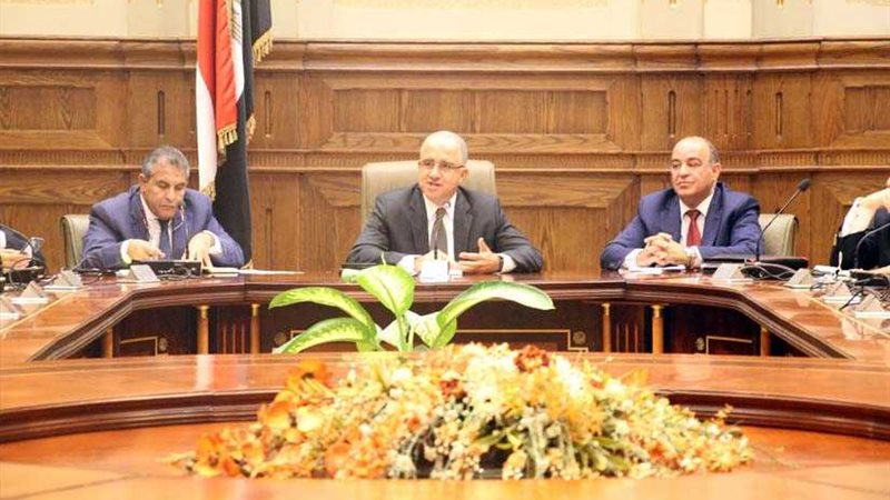 السويدي: دعم مصر