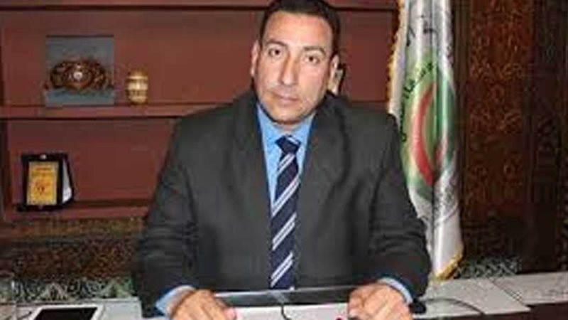 نقيب الصيادلة: الحكومة