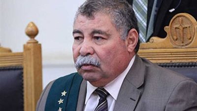 قاضي فض رابعة يواصل سماع الشهود في القضية