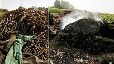 مكامير الفحم 