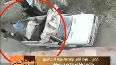 مزرعة لذبح الحمير وتوريدها للمطاعم بمحافظة سوهاج.. فيديو