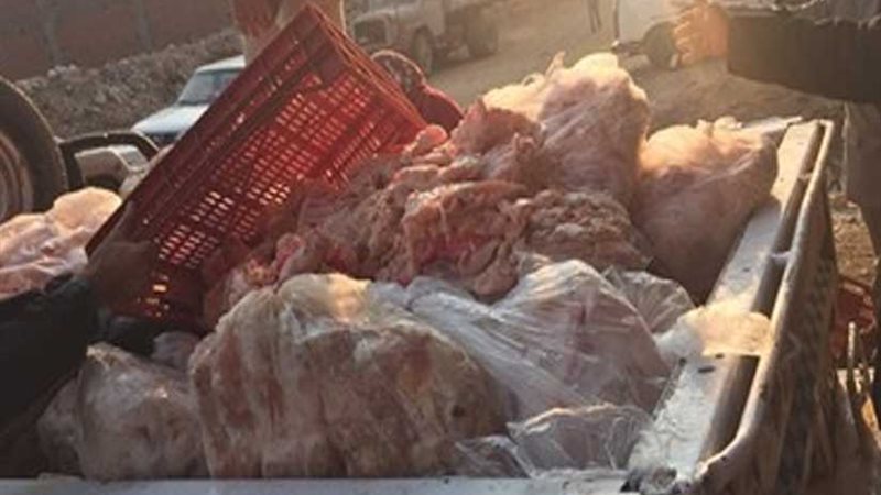 القليوبية .. ضبط