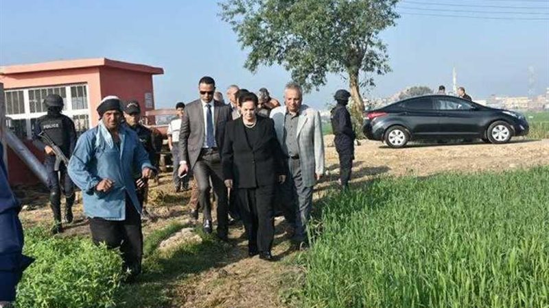 البحيرة أولى المحافظات