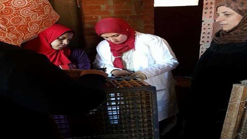 الشهداء تعلن الطوارئ