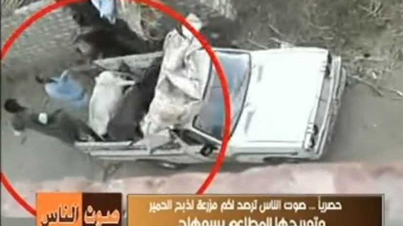 مزرعة لذبح الحمير