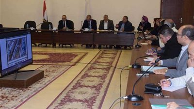 بني سويف تبحث إجراءات البدء في تنفيذ مشروع المدينة الدوائية