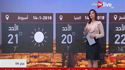 طقس اليوم شديد البرودة بجميع أنحاء العاصمة.. والصغرى بالقاهرة 11درجة