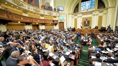 البرلمان يهاجم وزير التنمية المحلية بسبب الصعايدة: تصريحاتك عنصرية والاعتذار مطلوب