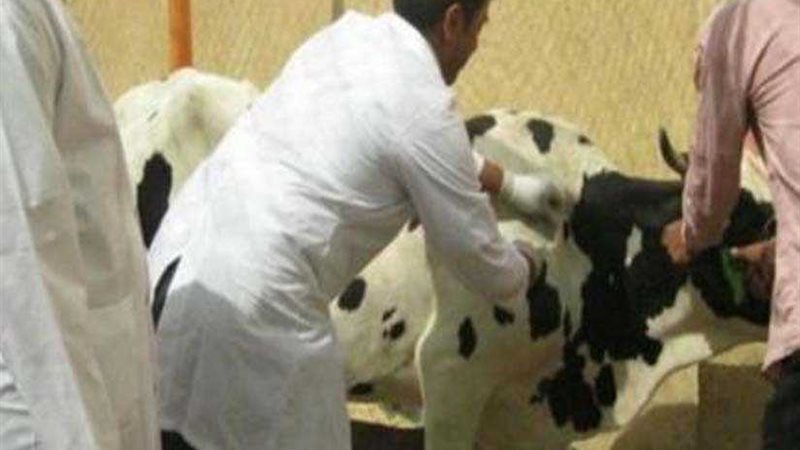 تحصين 748 ألفًا و695