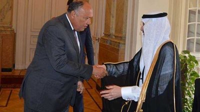 شكري يستقبل أمين عام منظمة التعاون الإسلامي ويؤكد دعمه الكامل لدوره في تطوير المنظمة