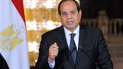 560 ألف استمارة دعمًا للسيسي من 