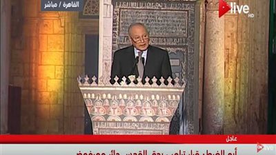 أبو الغيط: نصرة القدس لا تتحقق بالكلمات إنما بالعمل المنهجي