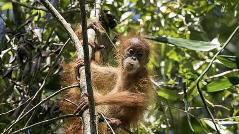 104 ألف عدد إنسان