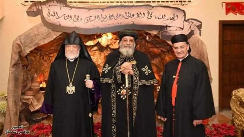 قداسة البابا يستقبل