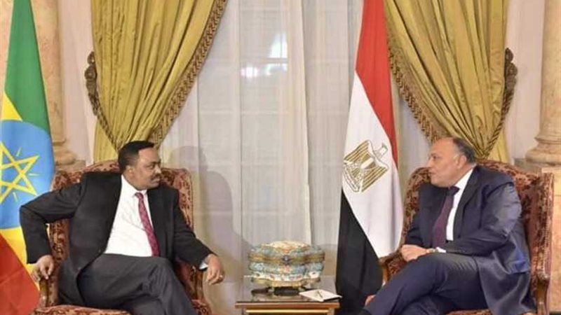 وزيرا خارجية مصر