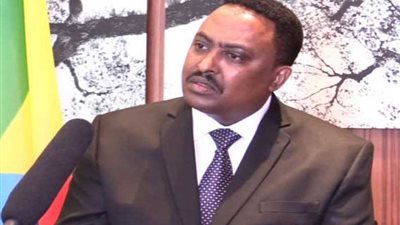 وزير خارجية إثيوبيا: اتفاقيات التعاون الثنائى مع مصر ستؤتى بثمارها قريبا