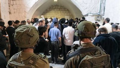 بالأسماء.. منظمات ويهود يعارضون انتهاكات الصهاينة بشأن القدس والفلسطينيين