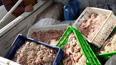 ضبط 85 كيلو دواجن فاسدة ولحوم خارج المجازر بالبحيرة 