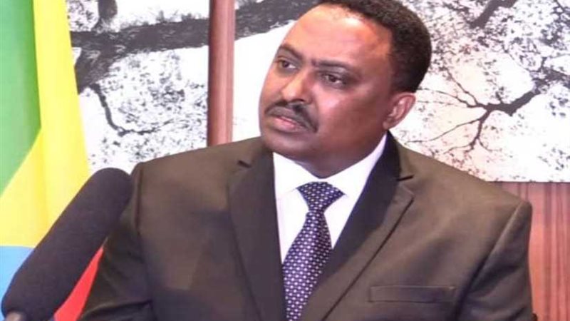 وزير خارجية إثيوبيا: