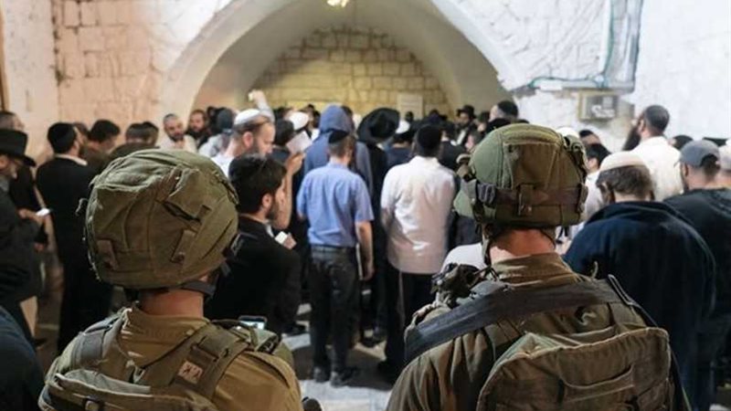 بالأسماء.. منظمات