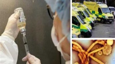 فيروس الإنفلونزا يصل إلى مستويات وبائية في بريطانيا