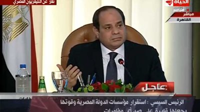 السيسي لمهاجمي البرلمان وأعضائه: هذا لا يليق (فيديو)