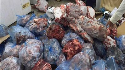 الصحة: إعدام 533.5 كيلو أغذية فاسدة بـ 24 ناديا رياضيا في 7 محافظات
