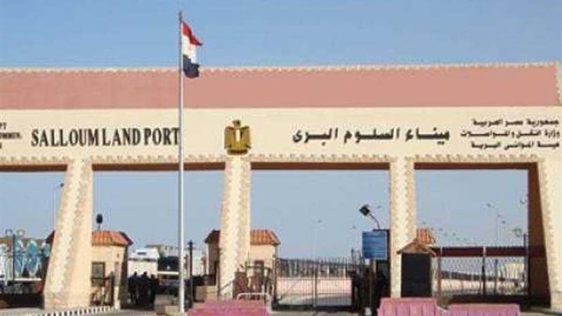 عودة 166 مصريًا ووصول