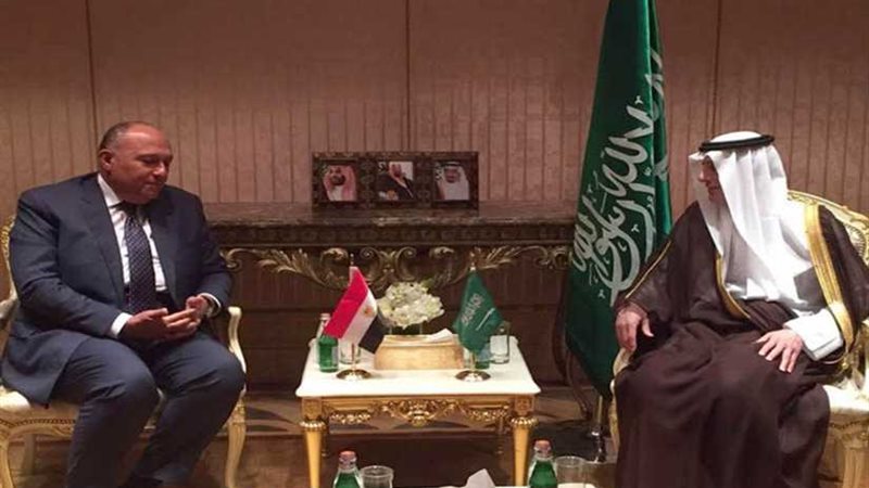 شكري والجبير يبحثان