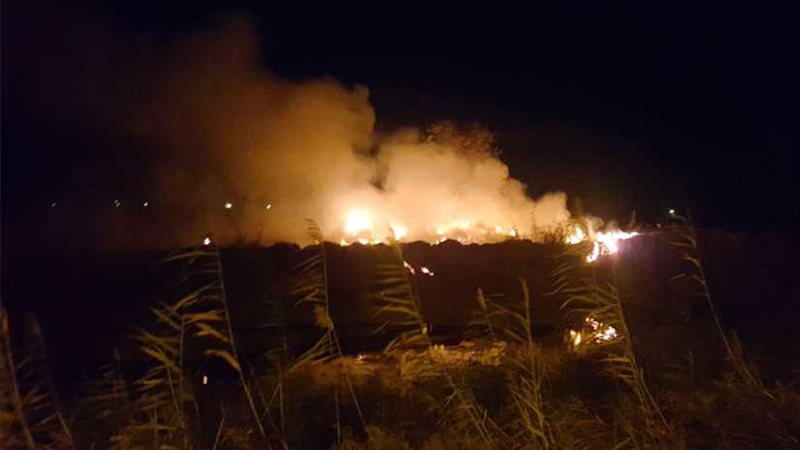 البحيرة..السيطرة