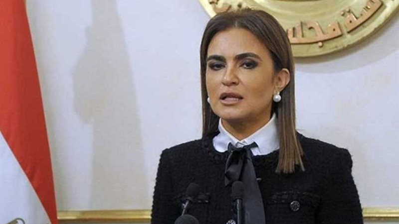 وزارة الاستثمار تنتهي