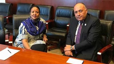 وزير الخارجية يلتقي وزيرة خارجية كينيا على هامش الاجتماعات التمهيدية للقمة الأفريقية