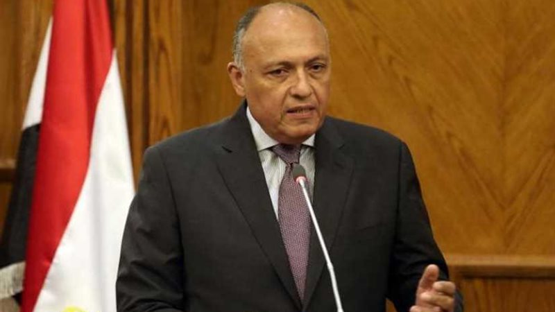 شكري يؤكد لنظيره